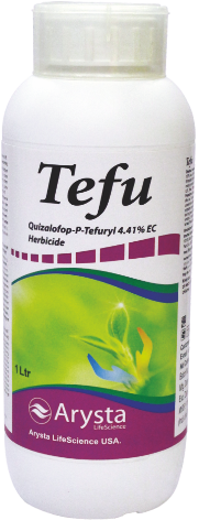 TEFU