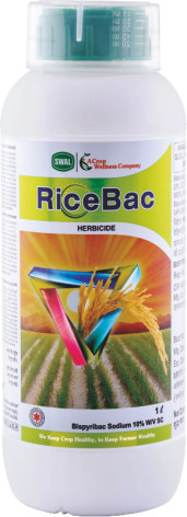 RICEBAC