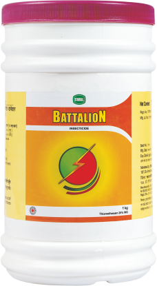 BATTALION