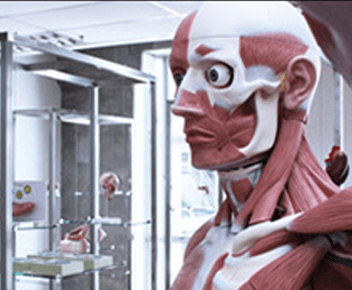 Taylors University Anatomy Museum