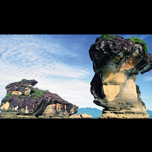 Taylors University Bako National Park